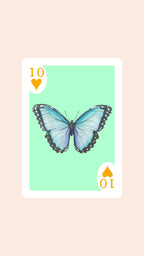 Double Deck of Butterfly Playing Cards with Acrylic Box