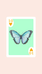 Butterfly Playing Cards with Acrylic Box
