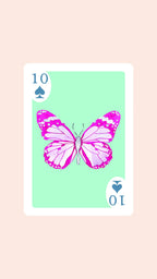 Double Deck of Butterfly Playing Cards with Acrylic Box