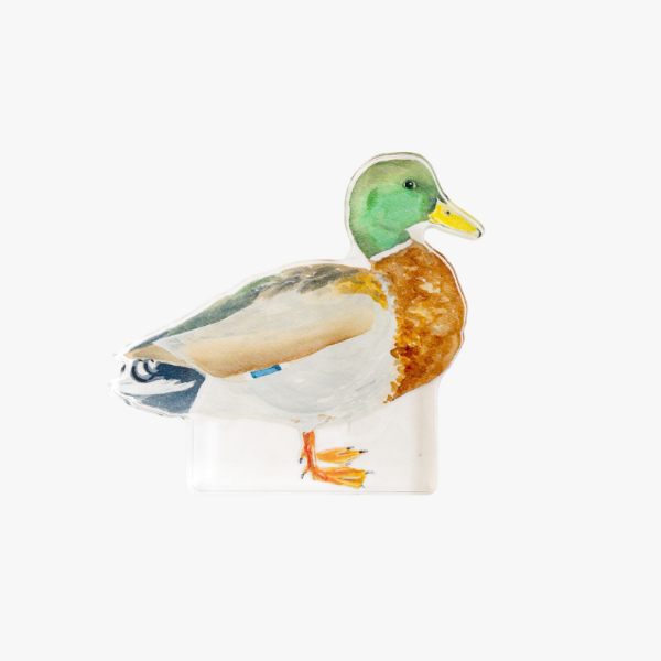 Mallard Acrylic Art Block