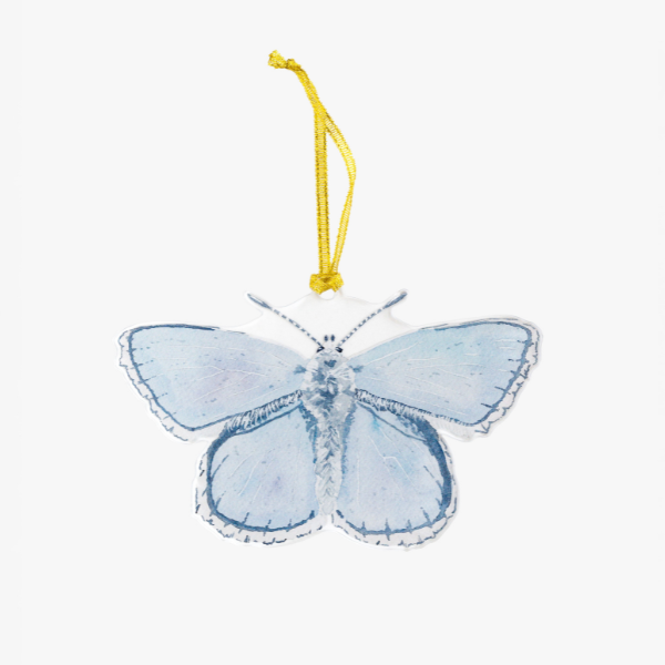 Blue Butterfly Acrylic Ornament