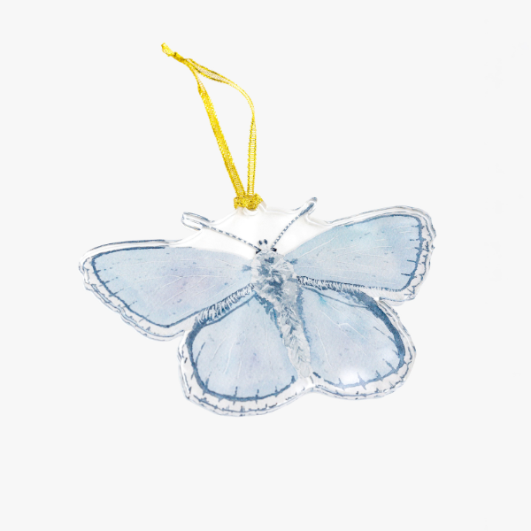 Blue Butterfly Acrylic Ornament