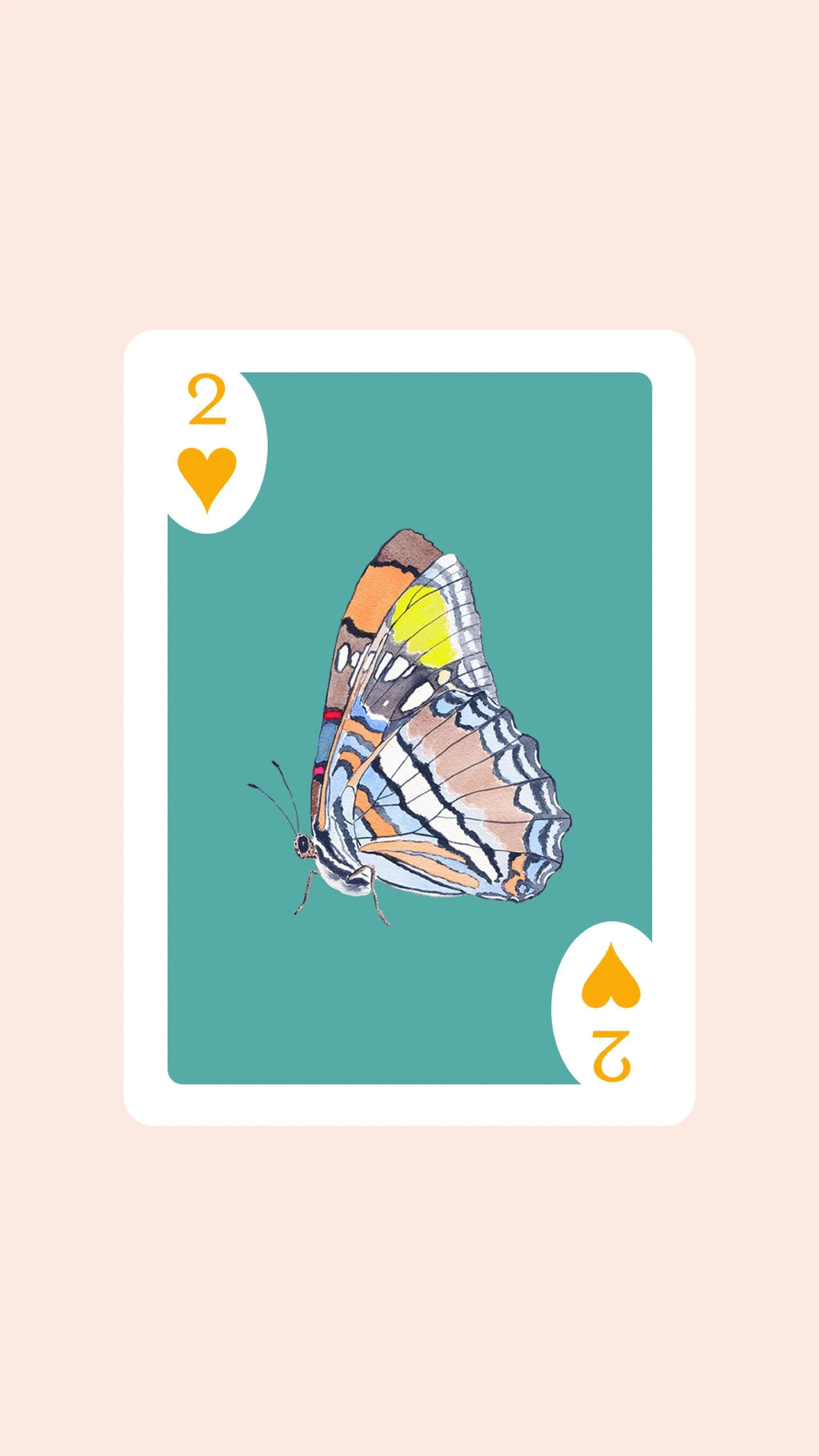 Butterfly Playing Cards with Acrylic Box