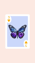 Butterfly Playing Cards with Acrylic Box