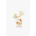 Rudolph Acrylic Art Block