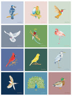 2027 Bird Calendar