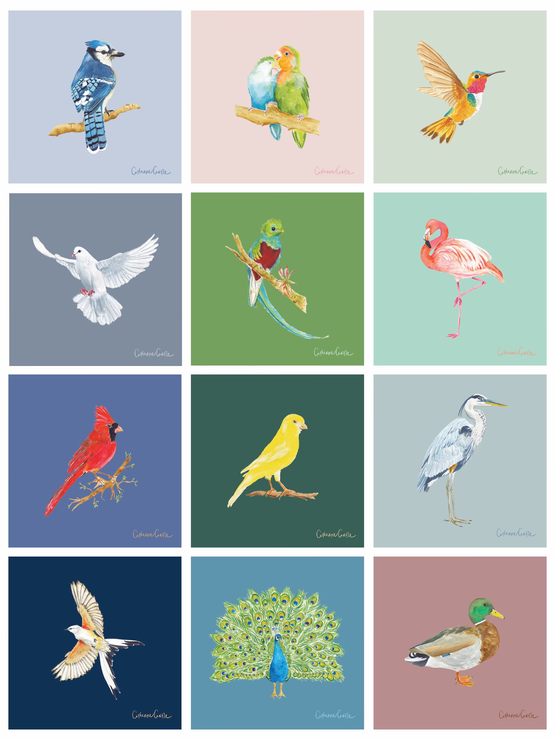 2027 Bird Calendar