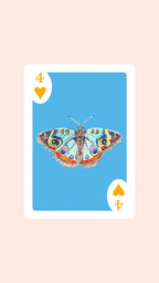 Butterfly Playing Cards with Acrylic Box