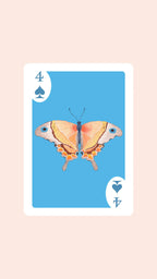 Double Deck of Butterfly Playing Cards with Acrylic Box