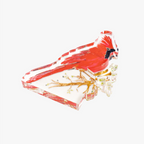 Cardinal Acrylic Art Block Large