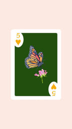 Double Deck of Butterfly Playing Cards with Acrylic Box
