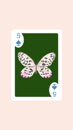 Double Deck of Butterfly Playing Cards with Acrylic Box