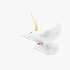 Dove Acrylic Ornament