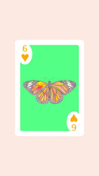 Butterfly Playing Cards with Acrylic Box