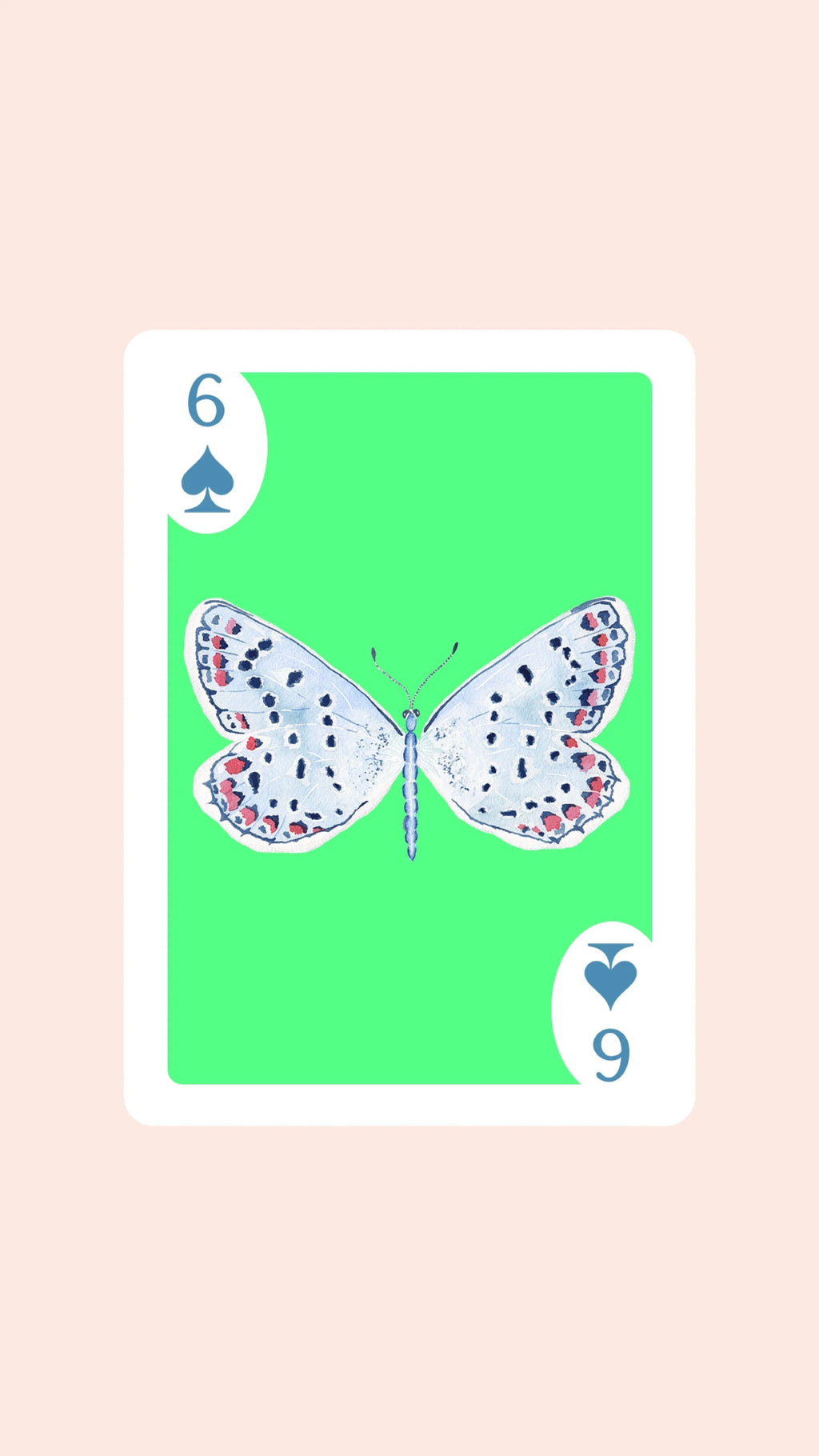 Double Deck of Butterfly Playing Cards with Acrylic Box