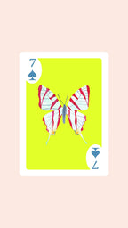 Double Deck of Butterfly Playing Cards with Acrylic Box