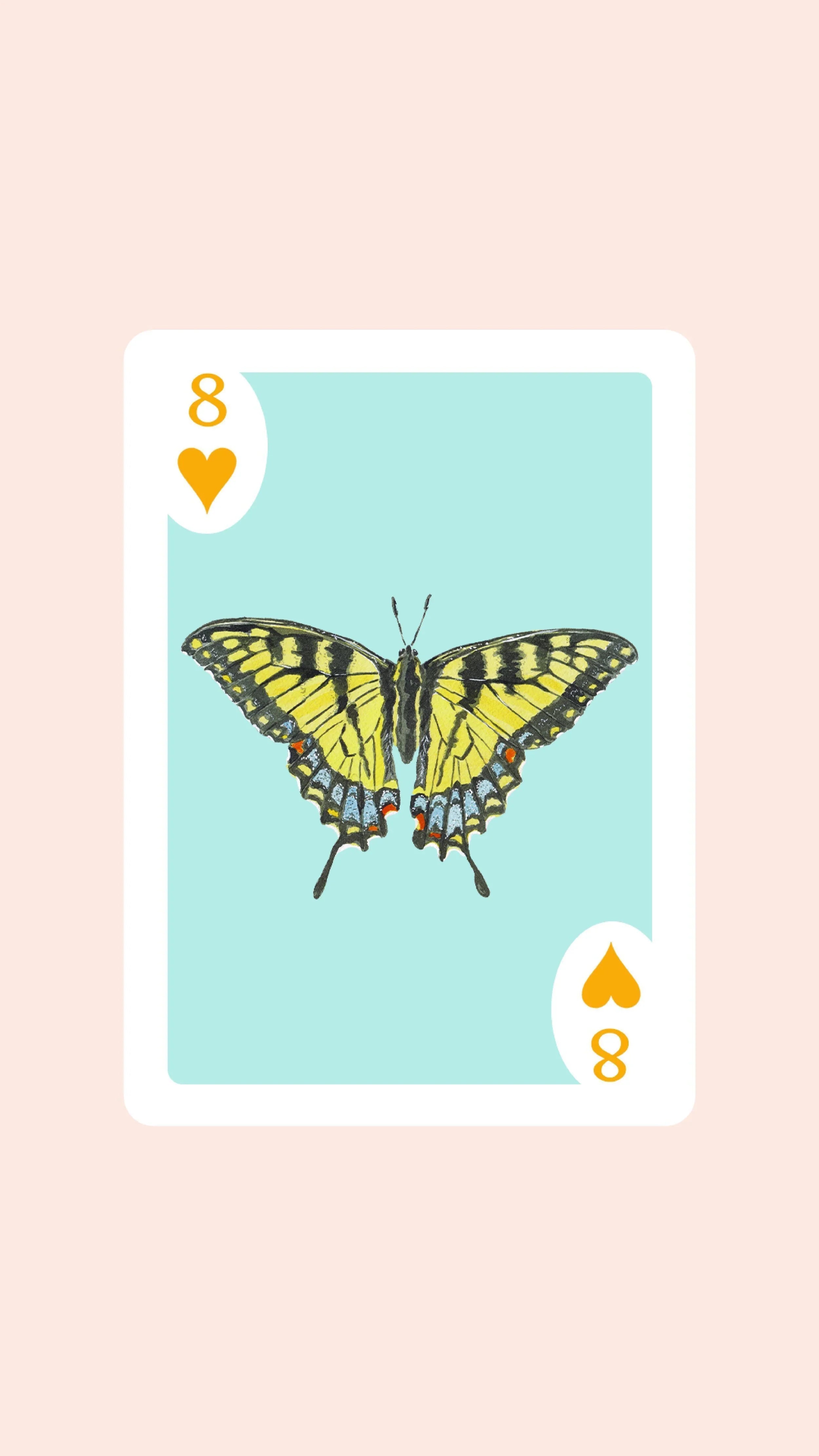 Double Deck of Butterfly Playing Cards with Acrylic Box