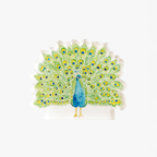 Peacock Acrylic Art Block Large