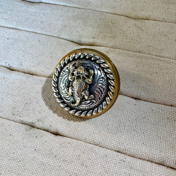Horned Frog - Brass Scarf Slide