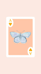 Butterfly Playing Cards with Acrylic Box