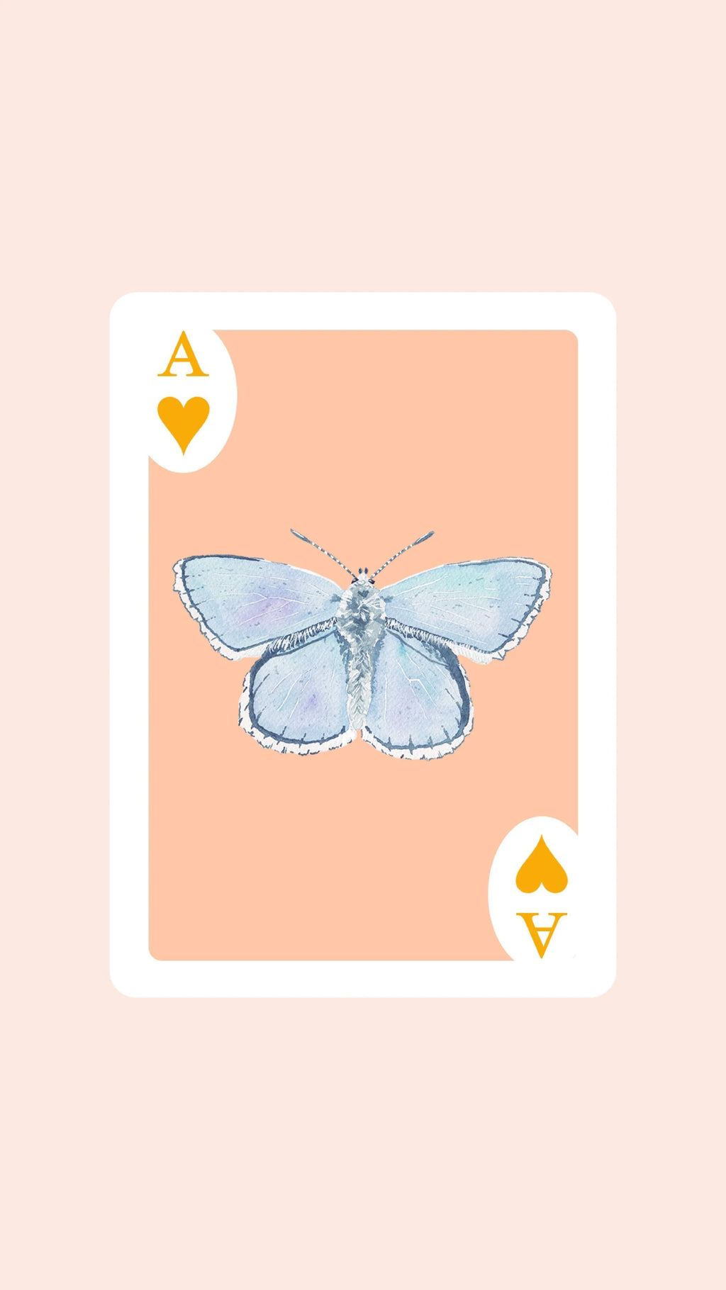 Double Deck of Butterfly Playing Cards with Acrylic Box