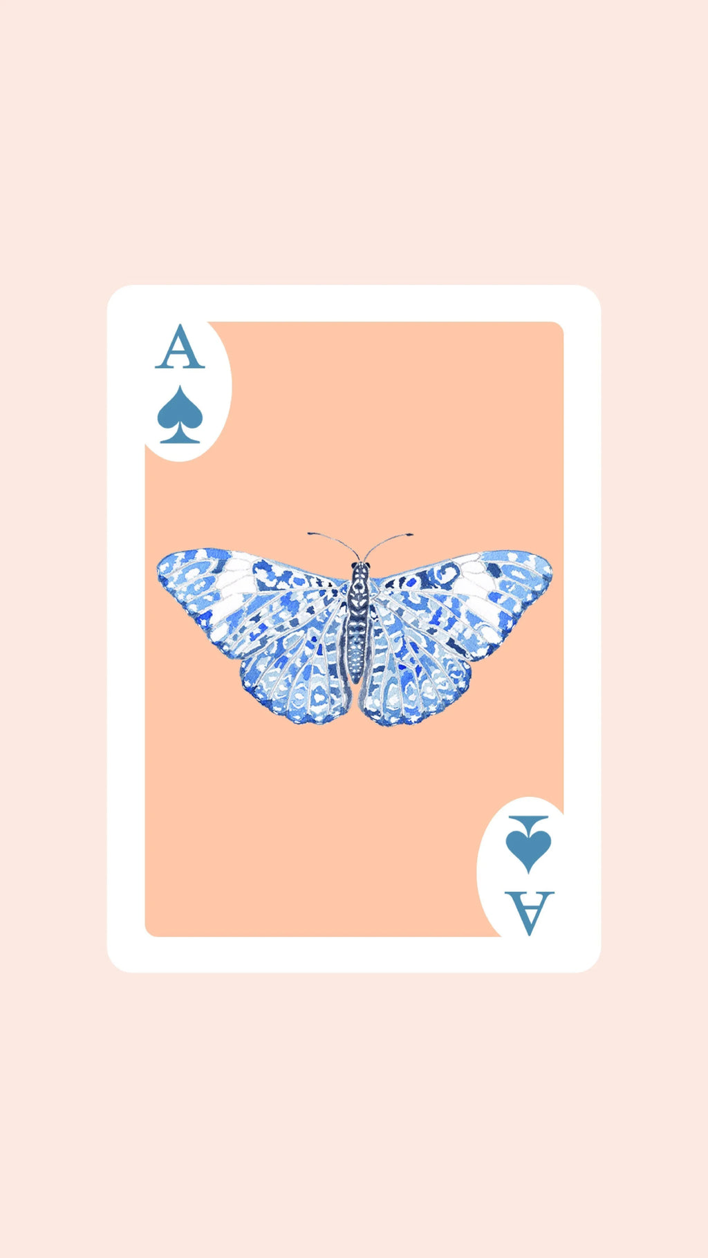 Double Deck of Butterfly Playing Cards with Acrylic Box