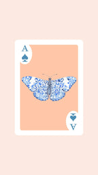 Double Deck of Butterfly Playing Cards with Acrylic Box