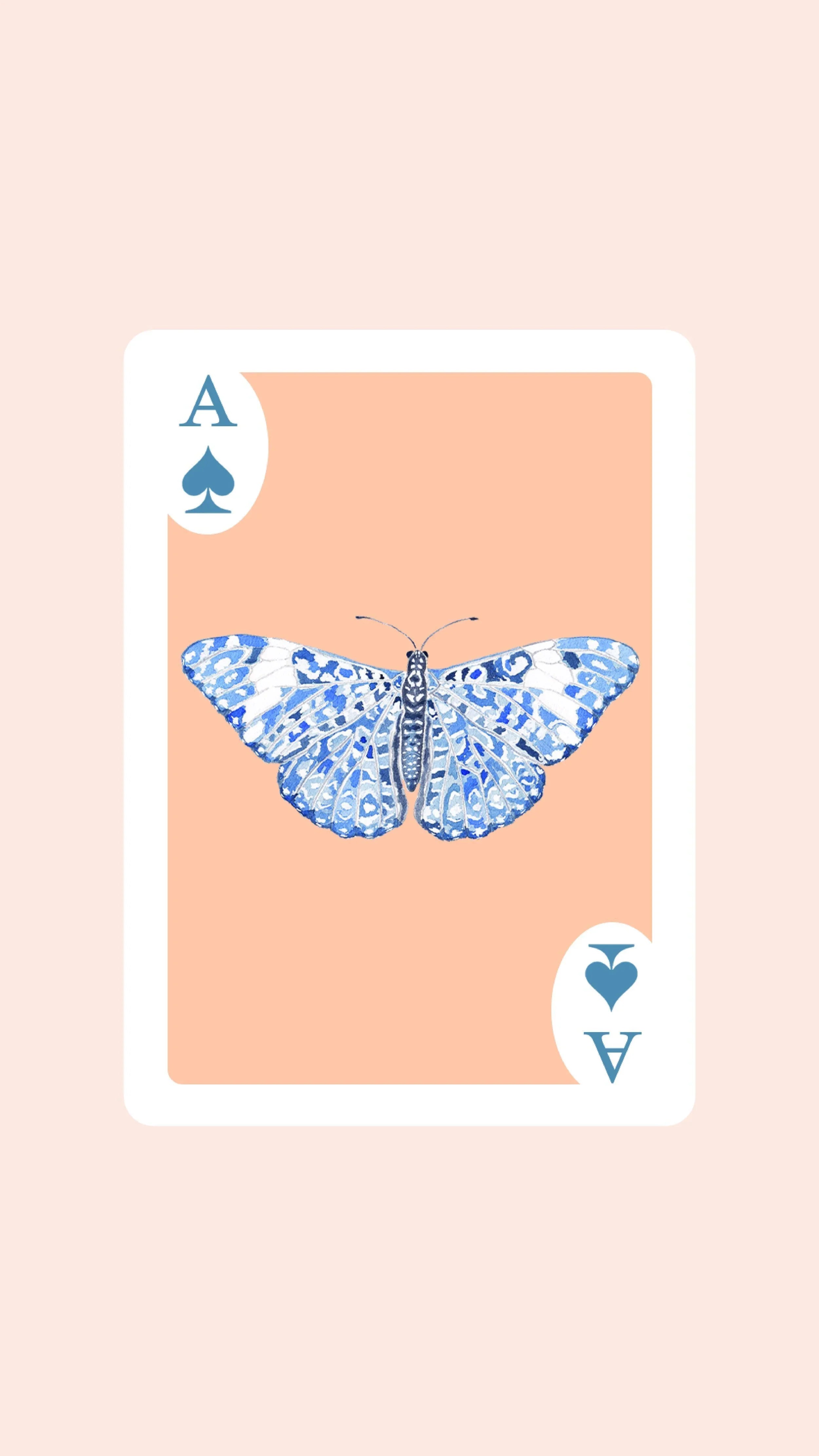 Double Deck of Butterfly Playing Cards with Acrylic Box