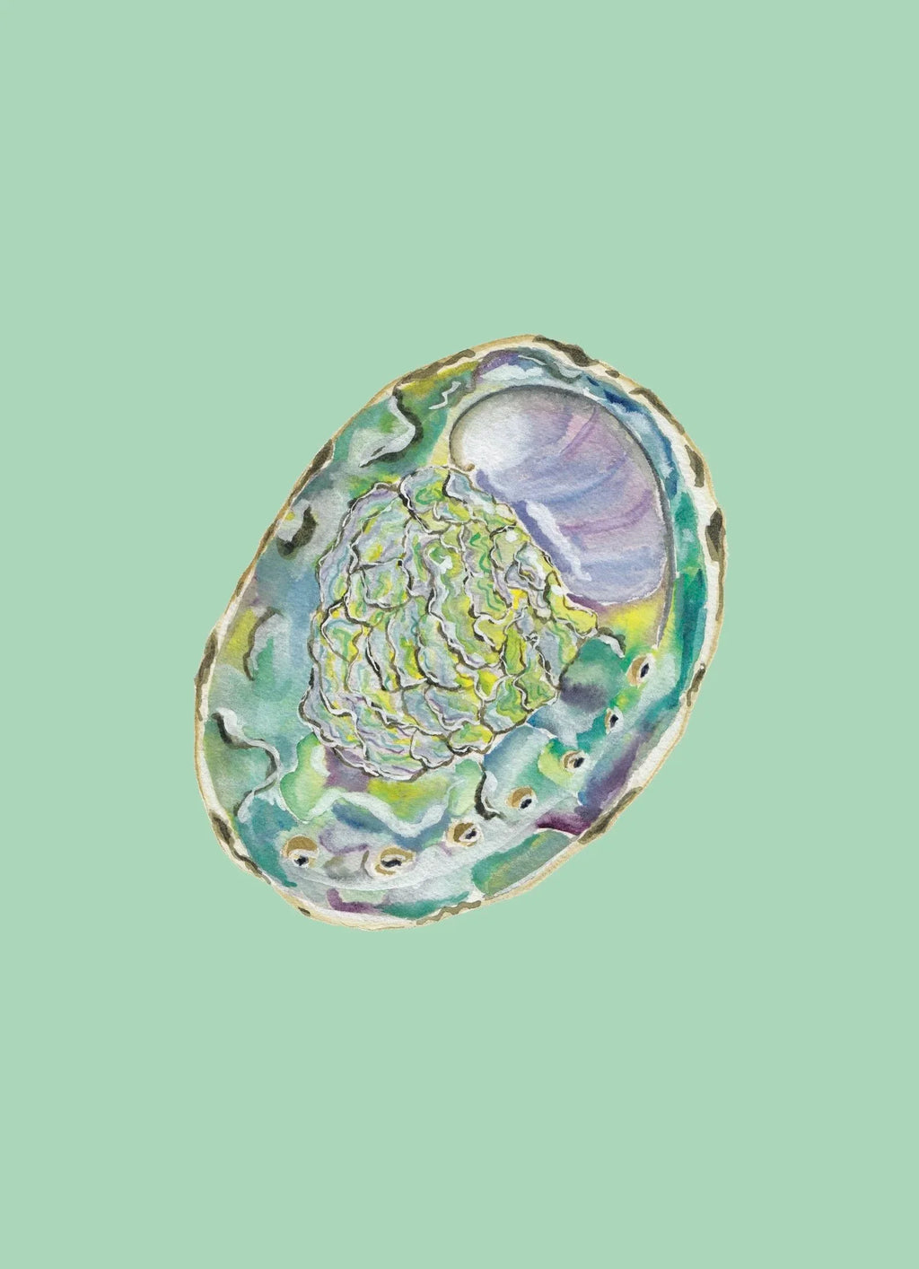 Abalone Art Print Colorful 5x7