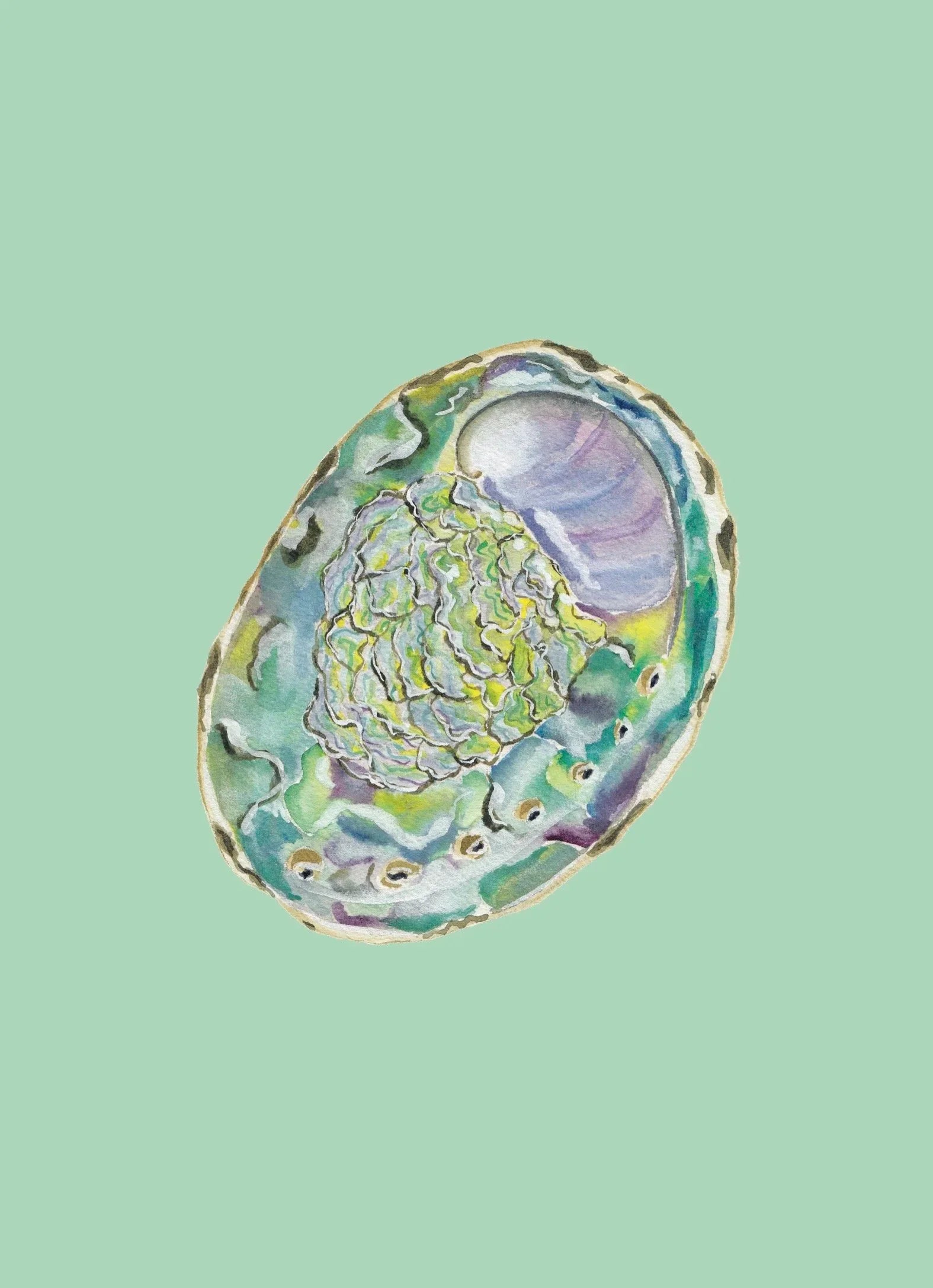 Abalone Art Print Colorful 5x7