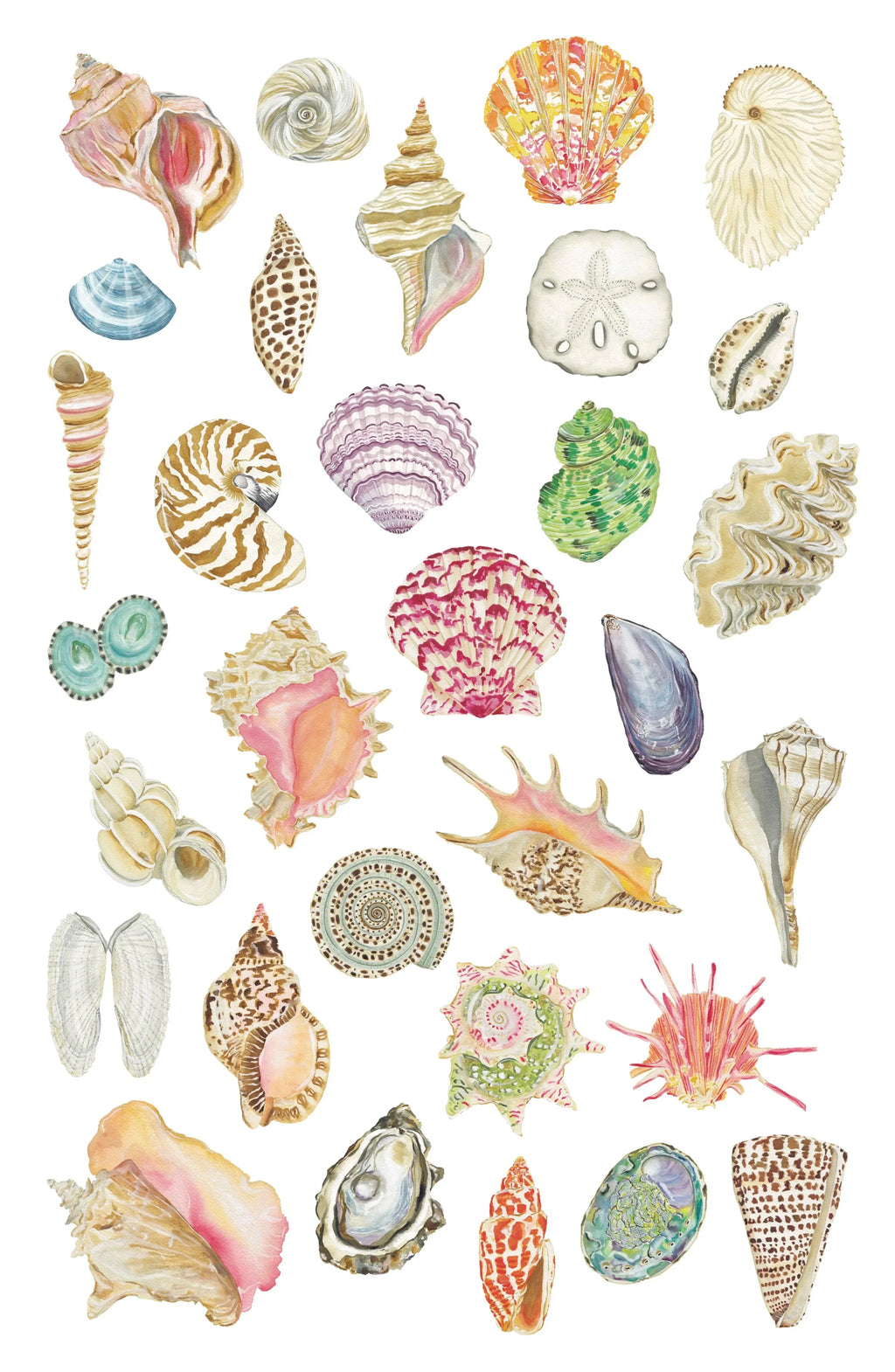 All the Seashells Art Print 11x17