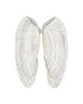 Angel Wing Shells Art Print 8x10