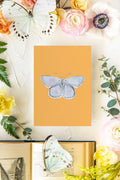 April 2 Butterfly Print 5x7