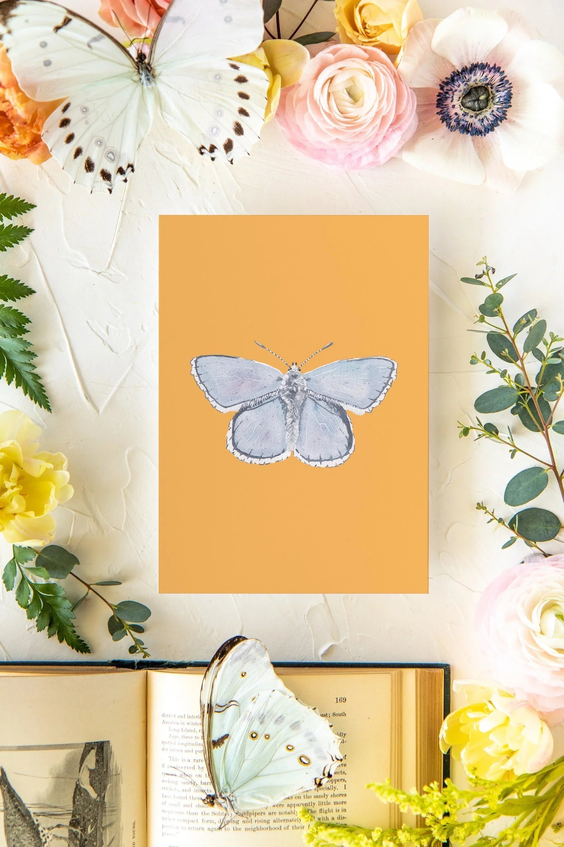 April 2 Butterfly Print 5x7