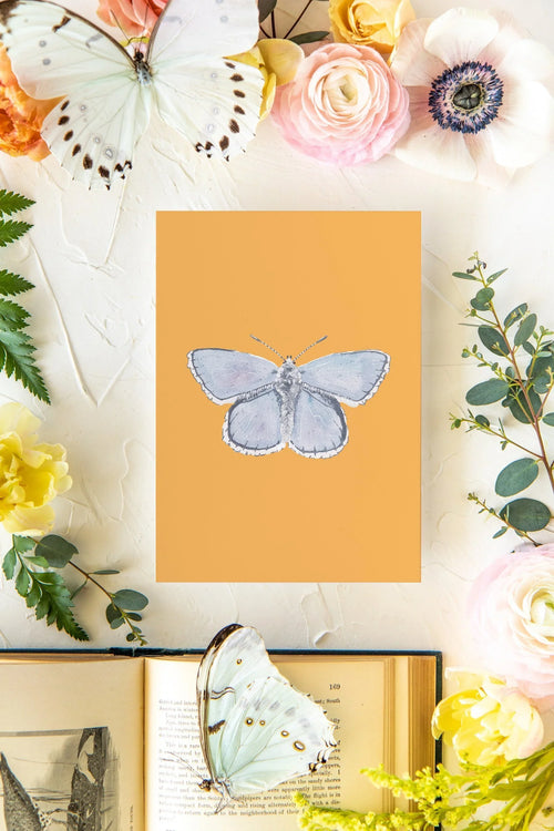 April 2 Butterfly Print 5x7