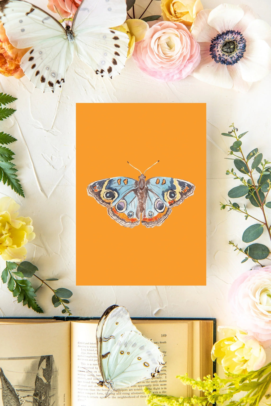 April Butterfly Print 5x7