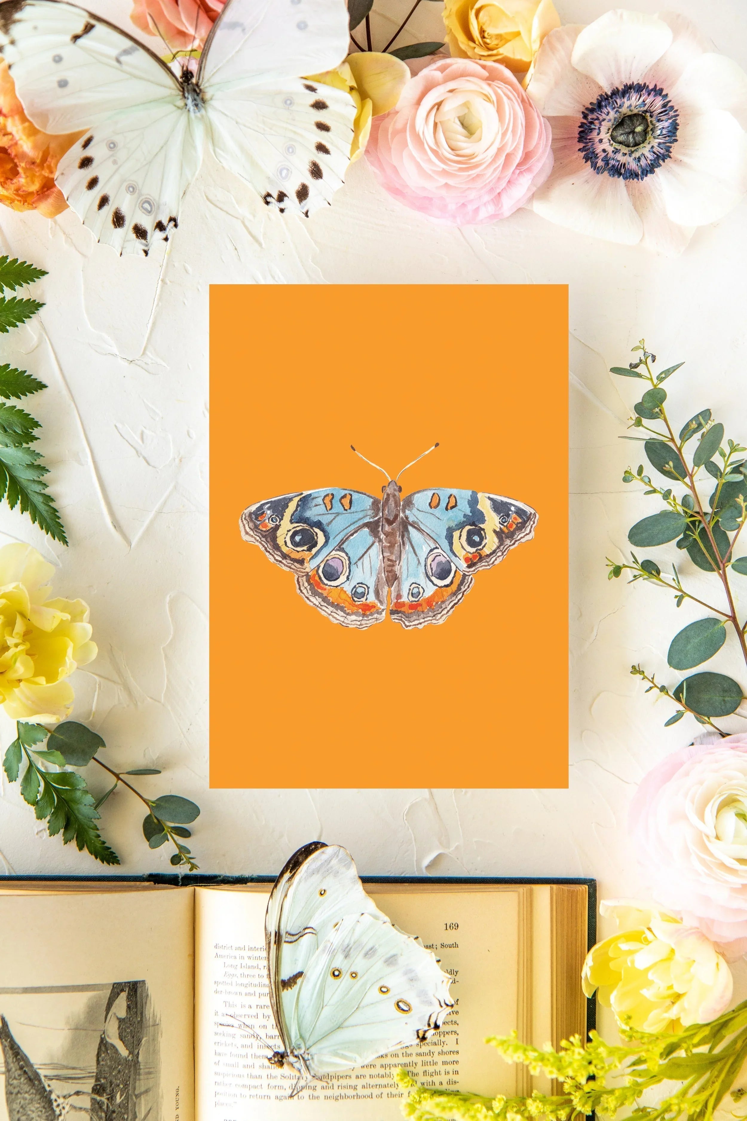 April Butterfly Print 5x7