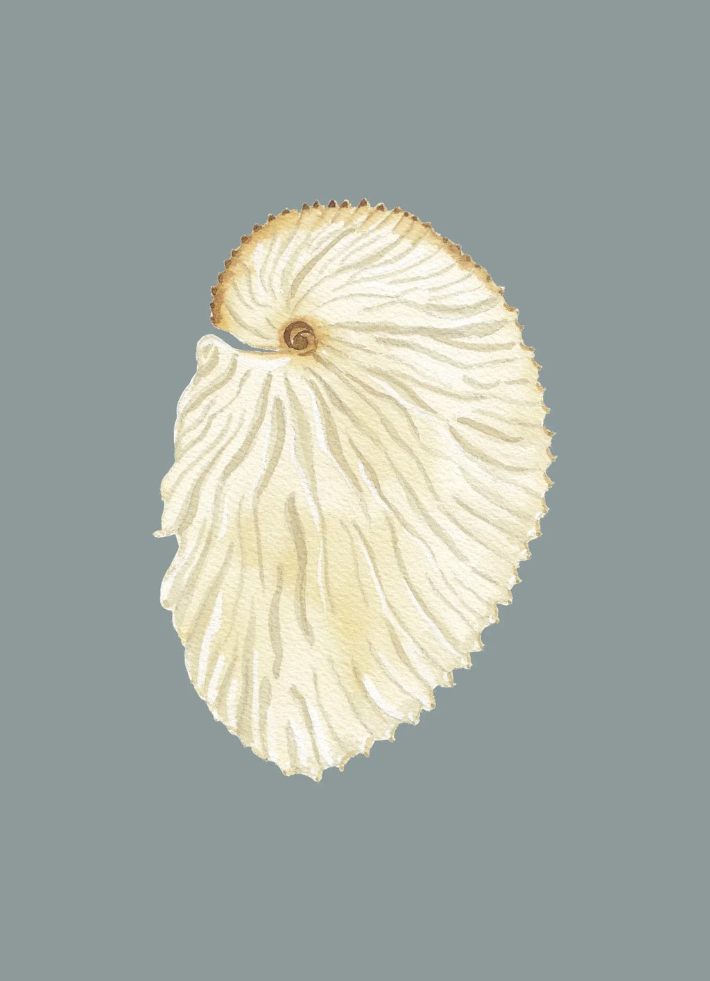 Argonaut Art Print Colorful 5x7
