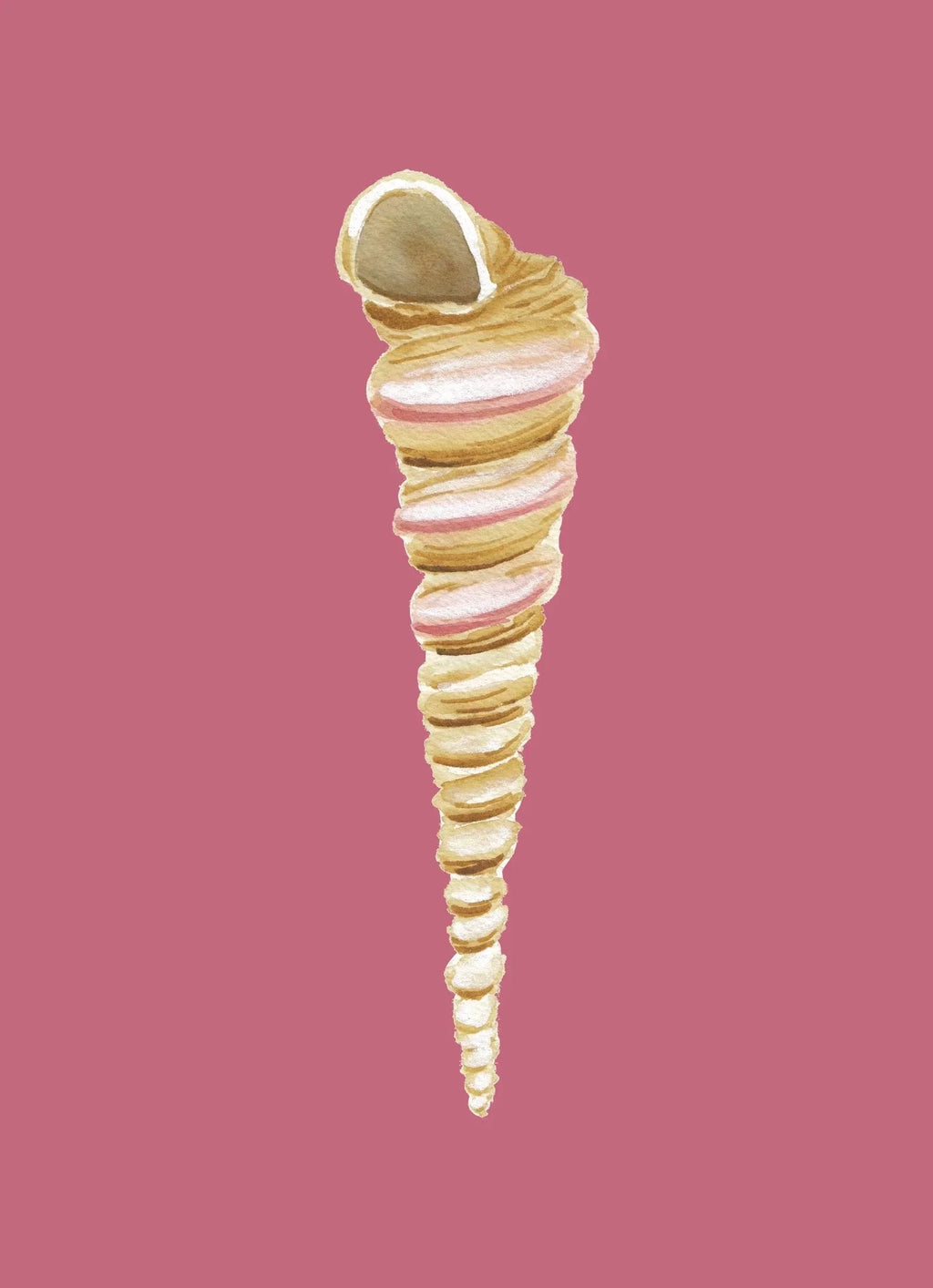 Auger Art Print Colorful 5x7