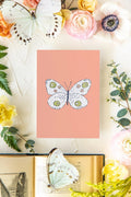 August 2 Butterfly Print 5x7