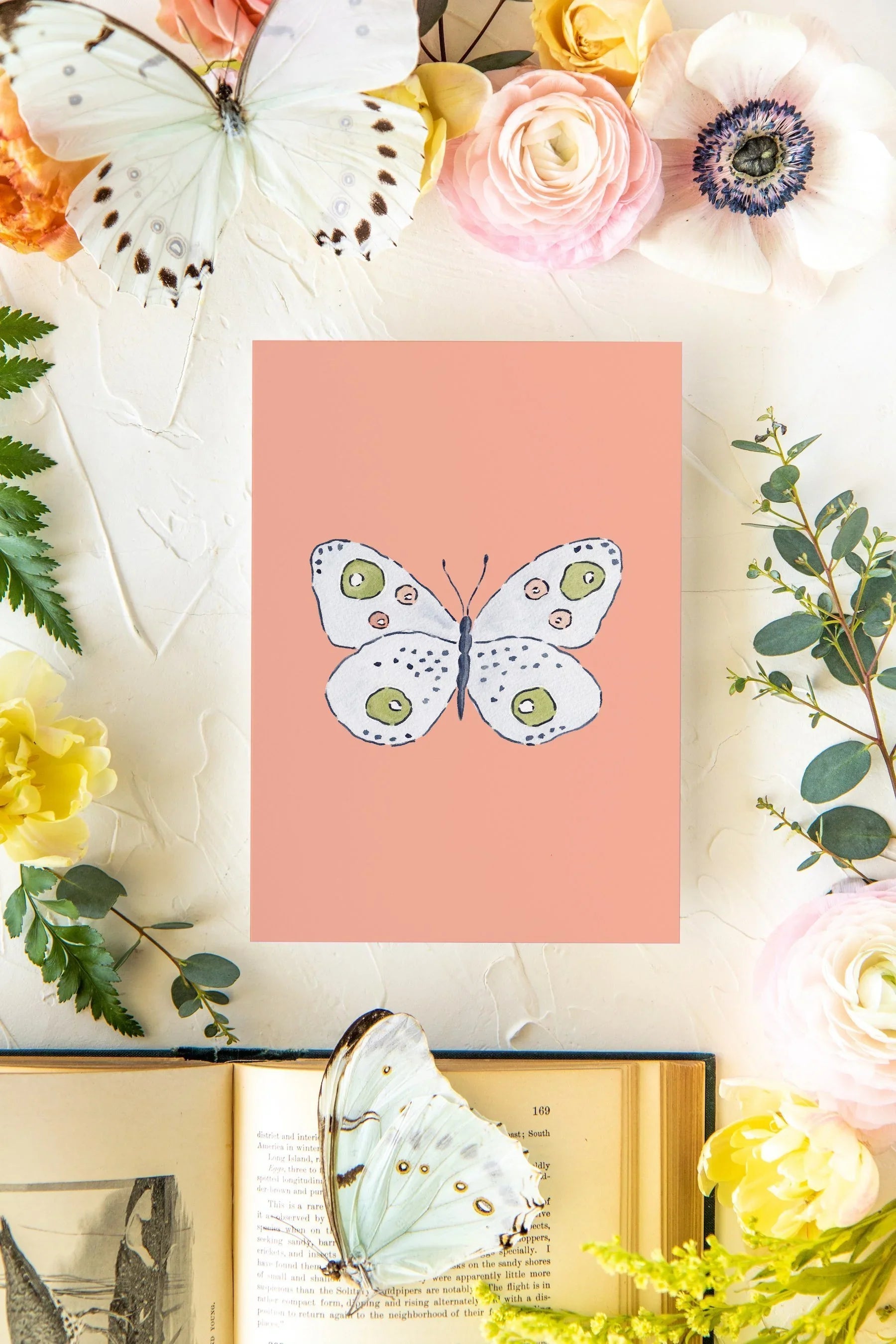 August 2 Butterfly Print 5x7