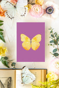 August Butterfly Print 5x7