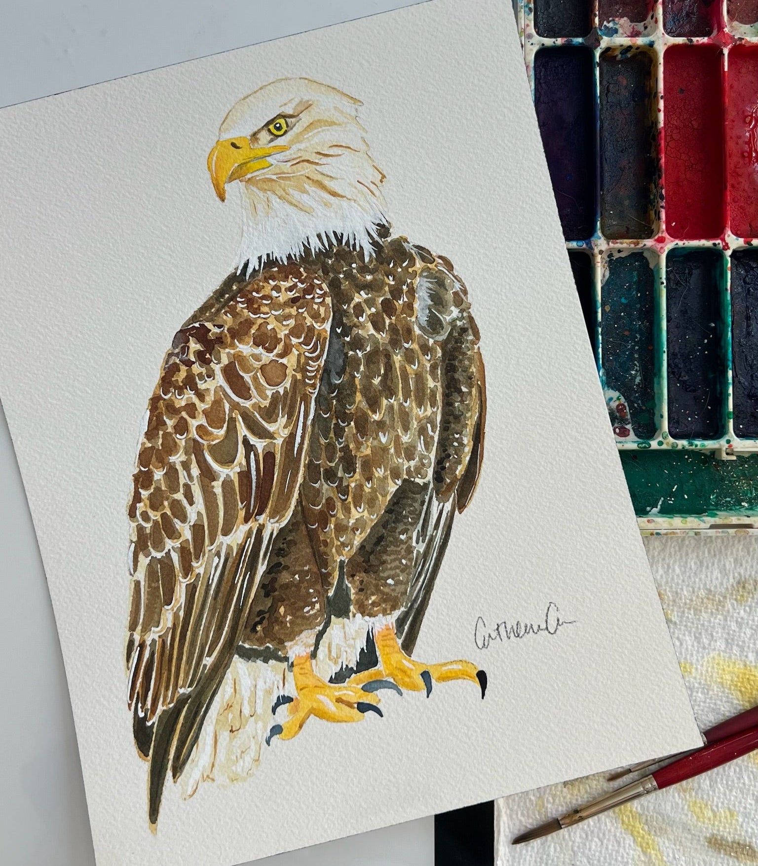 Bald Eagle - Original Painting