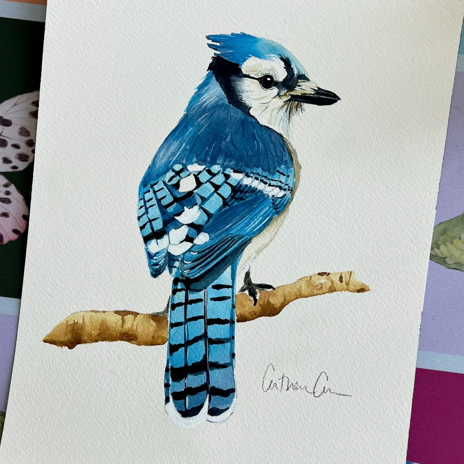 Bluejay - Original Painting