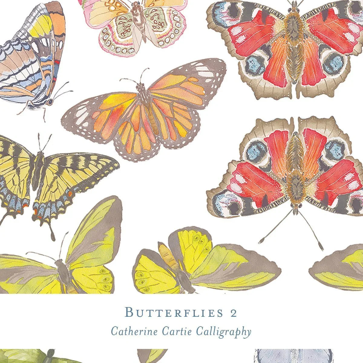 Gift Wrap - Butterflies 2