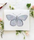 Butterfly No. 32 Print 8x10