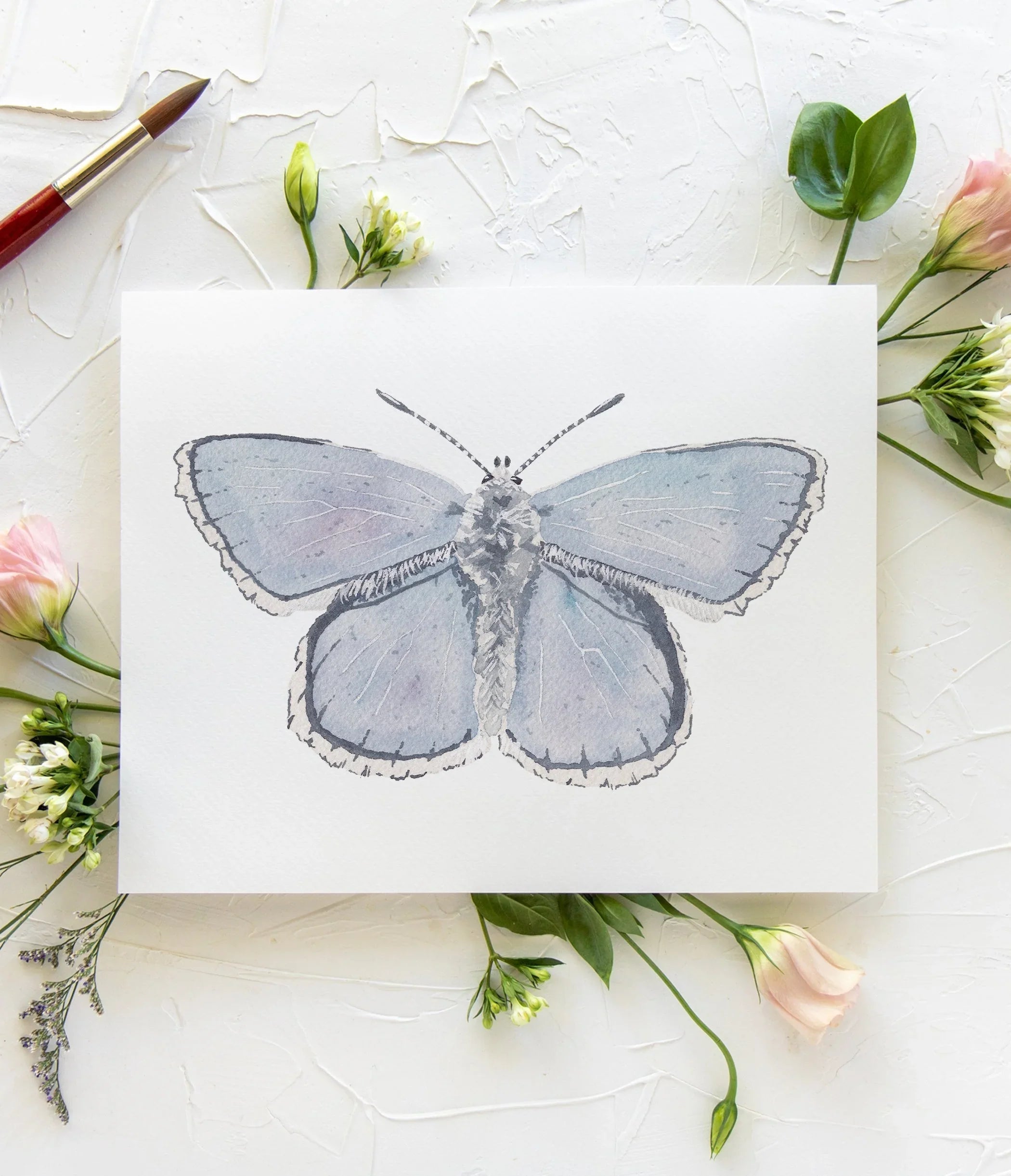 Butterfly No. 32 Print 8x10