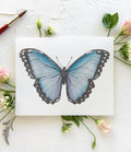 Butterfly No. 33 Print 8x10