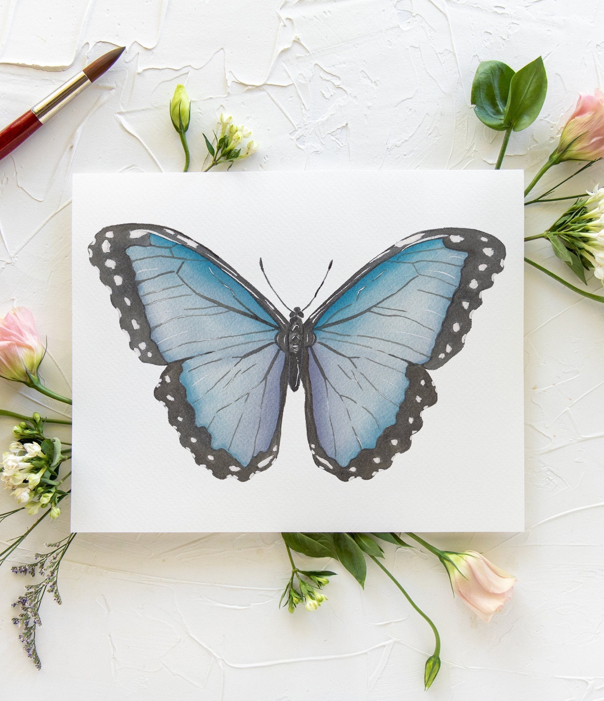 Butterfly No. 33 Print 8x10