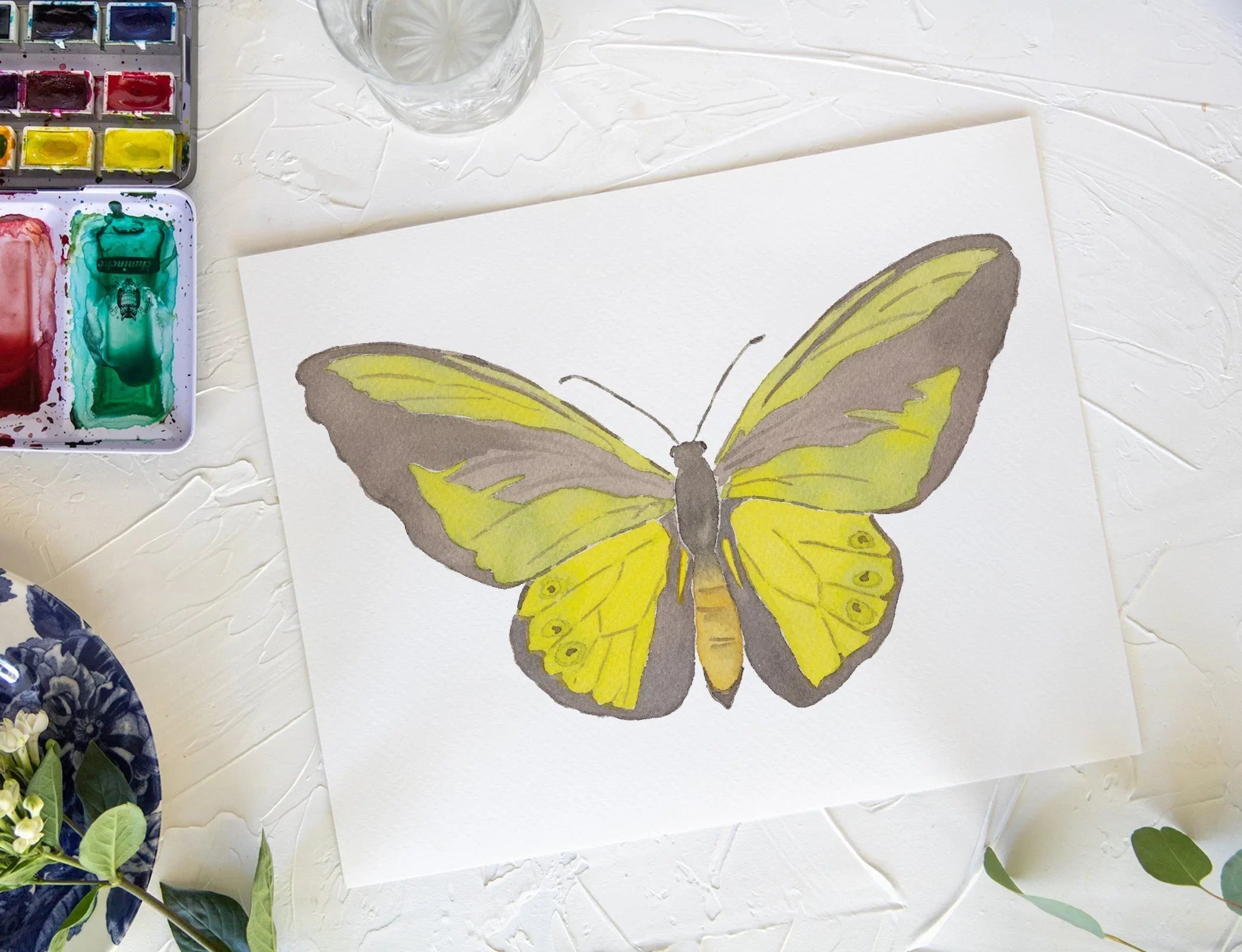Butterfly No. 34 Print 8x10